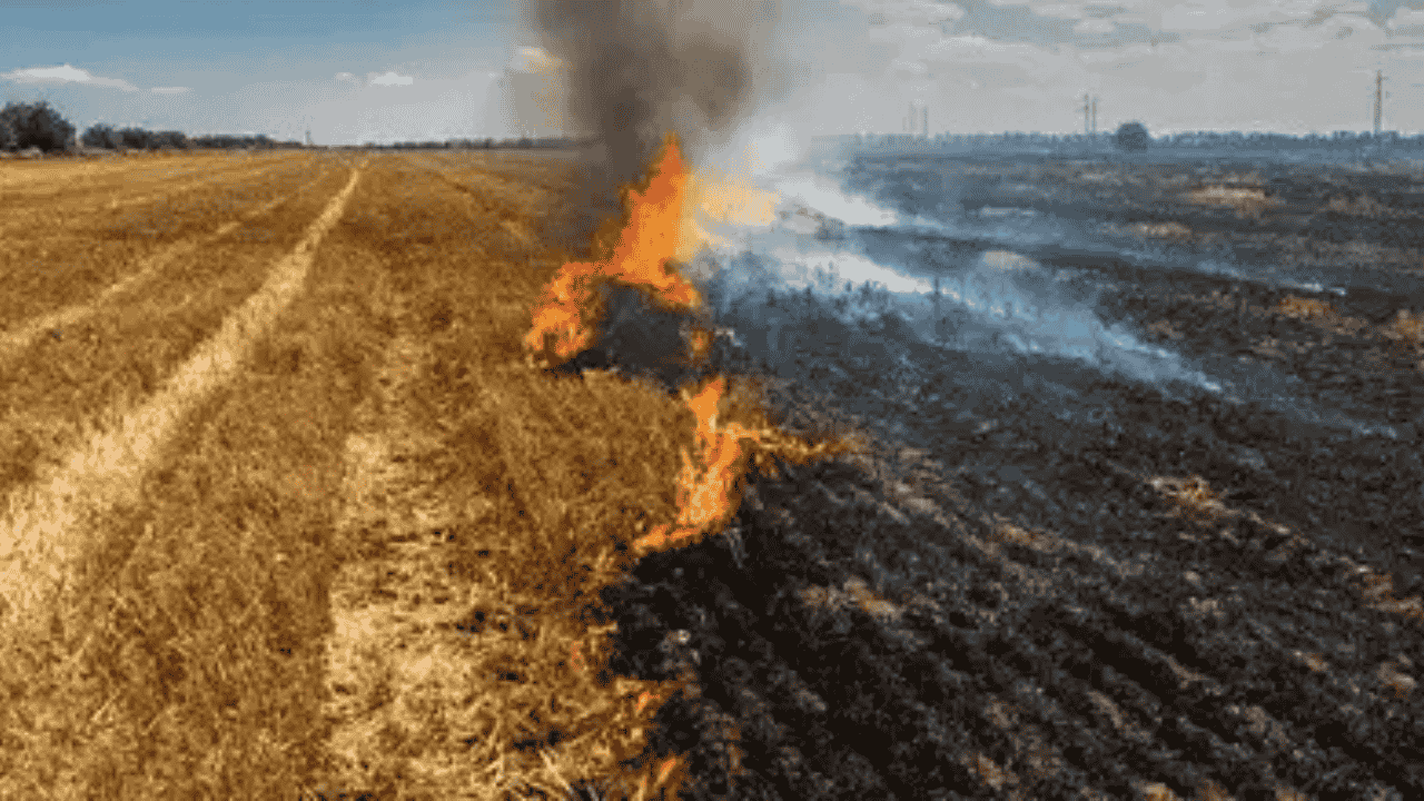 Burning of stubble banned in Ballia, farmers fined ₹10,000
